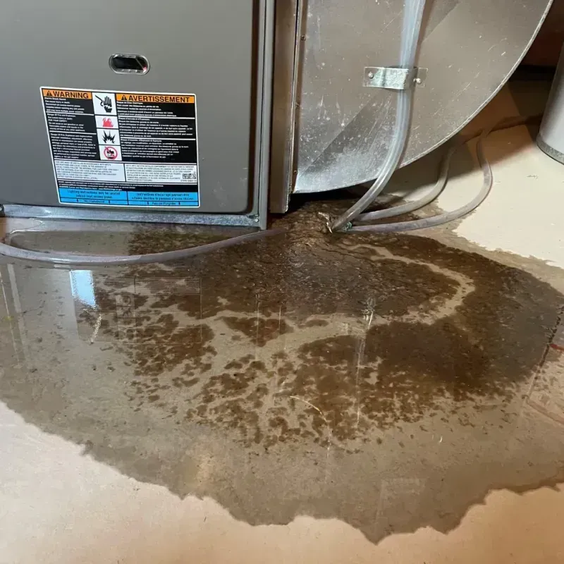 Appliance Leak Cleanup in Edgewood, WA